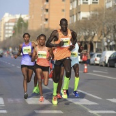 Marató BP Castelló, general