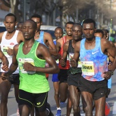 Marató BP Castelló, general