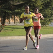 Marató BP Castelló, general