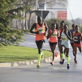 Marató BP Castelló, general