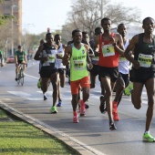 Marató BP Castelló, general