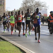 Marató BP Castelló, general