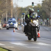 Marató BP Castelló, general