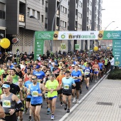 Marató BP Castelló, general