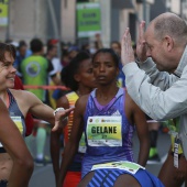 Marató BP Castelló, general