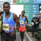 Marató BP Castelló, general