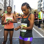 Marató BP Castelló, general