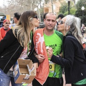 Marató BP Castelló, resumen