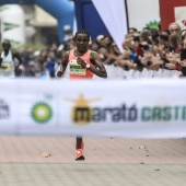 Marató BP Castelló, resumen