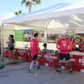 VIII Media Maratón Benicàssim