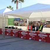 VIII Media Maratón Benicàssim