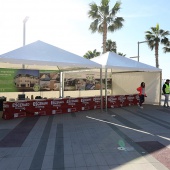 VIII Media Maratón Benicàssim