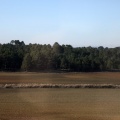 paisajes a 300 km por hora
