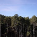 paisajes a 300 km por hora