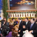 Fitur 2011. Castellón y provincia