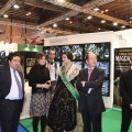 Fitur 2011. Castellón y provincia