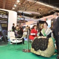 Fitur 2011. Castellón y provincia