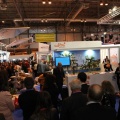Fitur 2011. Castellón y provincia