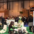 Fitur 2011. Castellón y provincia