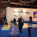 Fitur 2011. Castellón y provincia