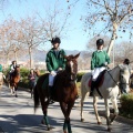 Fiesta de San Antonio