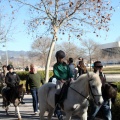 Fiesta de San Antonio