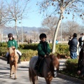 Fiesta de San Antonio