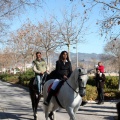 Fiesta de San Antonio