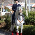 Fiesta de San Antonio