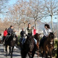 Fiesta de San Antonio