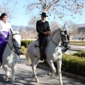 Fiesta de San Antonio