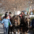 Fiesta de San Antonio