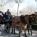 Fiesta de San Antonio