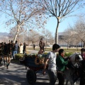 Fiesta de San Antonio