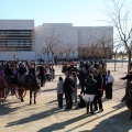 Fiesta de San Antonio