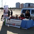 Fiesta de San Antonio