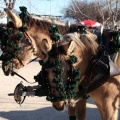 Fiesta de San Antonio