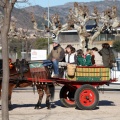 Fiesta de San Antonio