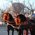 Fiesta de San Antonio