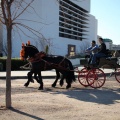 Fiesta de San Antonio