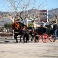 Fiesta de San Antonio