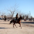 Fiesta de San Antonio