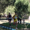 XXXII cross ciudad de Castellón