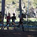 XXXII cross ciudad de Castellón