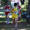 XXXII cross ciudad de Castellón