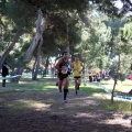 XXXII cross ciudad de Castellón