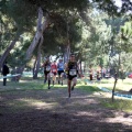 XXXII cross ciudad de Castellón