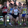 XXXII cross ciudad de Castellón