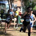XXXII cross ciudad de Castellón
