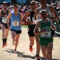 XXXII cross ciudad de Castellón